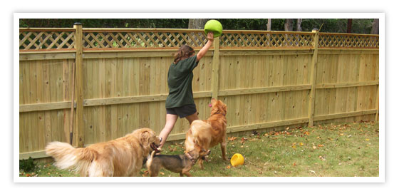 Follow the leader - one of our favorite games at Pet Partners